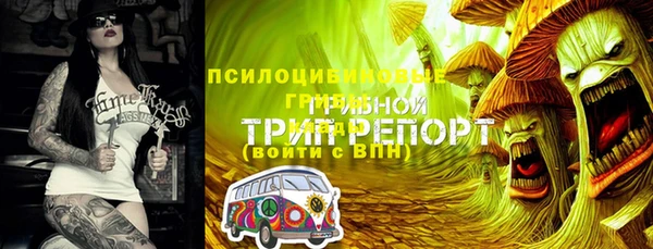 ГАЛЛЮЦИНОГЕННЫЕ ГРИБЫ Баксан